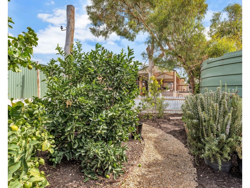 21A Jackson Avenue, Strathalbyn SA 5255