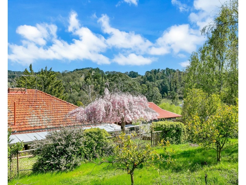 14 Harris Road, Lenswood SA 5240