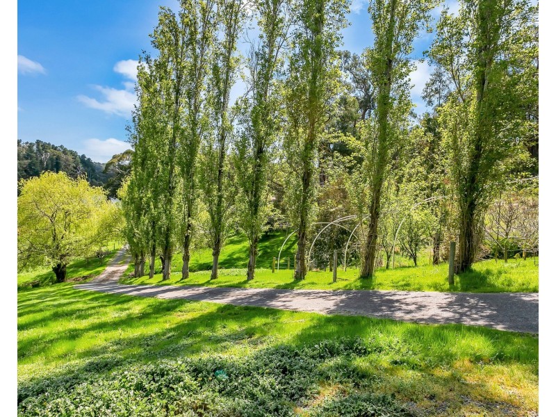 14 Harris Road, Lenswood SA 5240