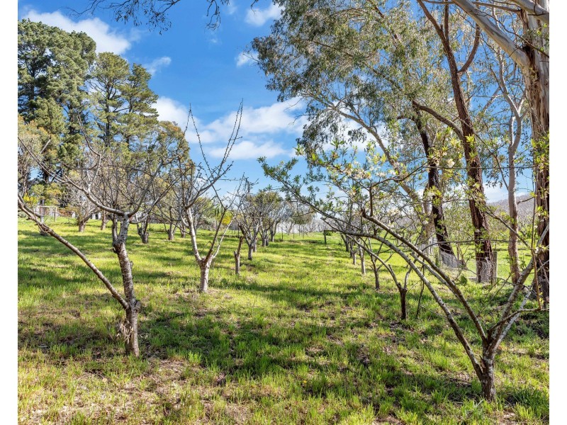 29 Edwards Hill Road, Lenswood SA 5240