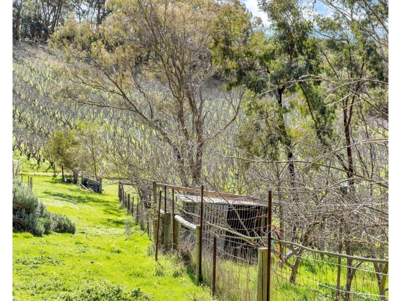 29 Edwards Hill Road, Lenswood SA 5240