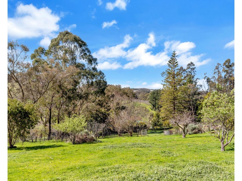 29 Edwards Hill Road, Lenswood SA 5240