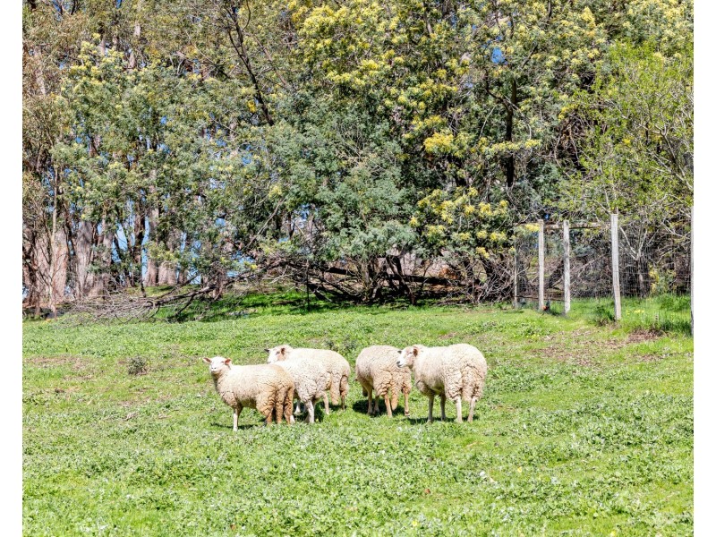 29 Edwards Hill Road, Lenswood SA 5240