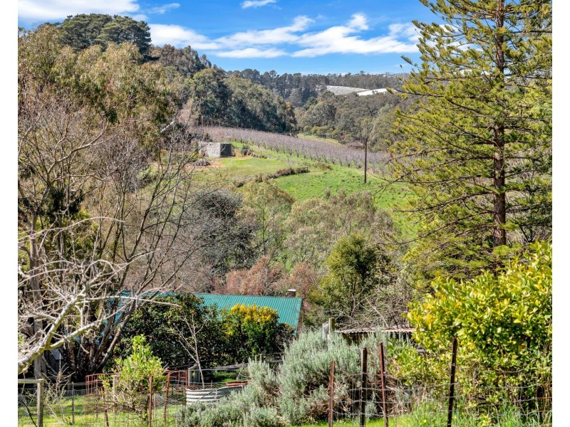 29 Edwards Hill Road, Lenswood SA 5240