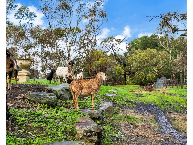 84 Terlinga Road, Mount Torrens SA 5244
