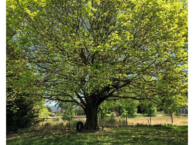 151 Mappinga Road, Oakbank SA 5243
