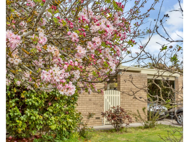 3 Darkana Road, Balhannah SA 5242