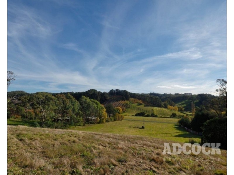Lot 11 Swamp Road, Lenswood SA 5240