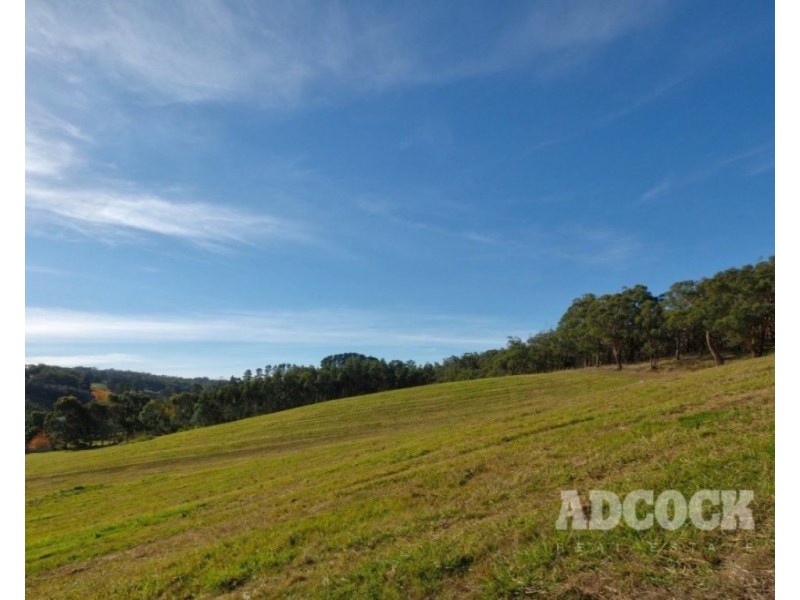 Lot 11 Swamp Road, Lenswood SA 5240