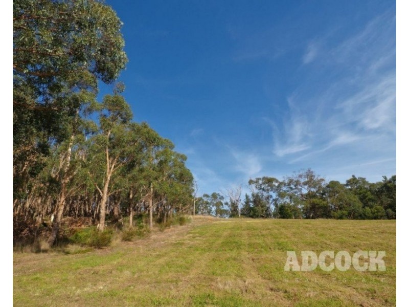 Lot 11 Swamp Road, Lenswood SA 5240