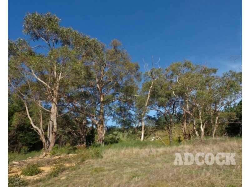 Lot 11 Swamp Road, Lenswood SA 5240