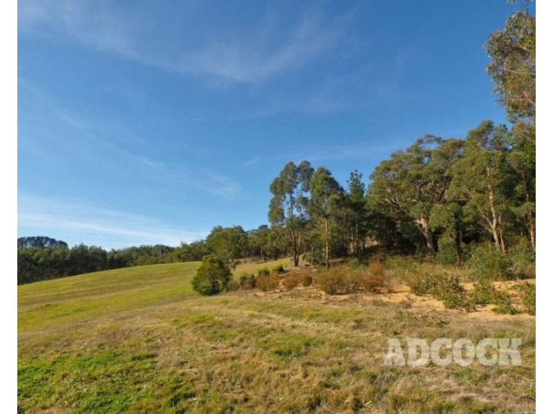 Lot 11 Swamp Road, Lenswood SA 5240