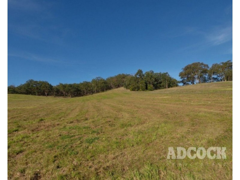 Lot 11 Swamp Road, Lenswood SA 5240