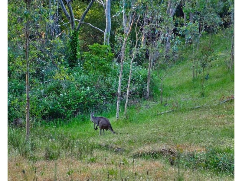 251 Pole Road, Ironbank SA 5153