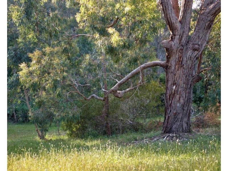 251 Pole Road, Ironbank SA 5153