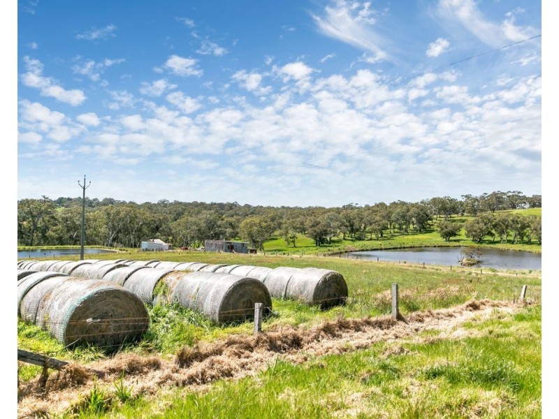 147A & 147 Sheoak Hill Road, Mount Torrens SA 5244