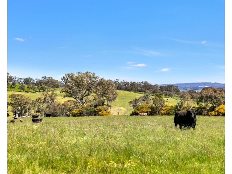 147A & 147 Sheoak Hill Road, Mount Torrens SA 5244