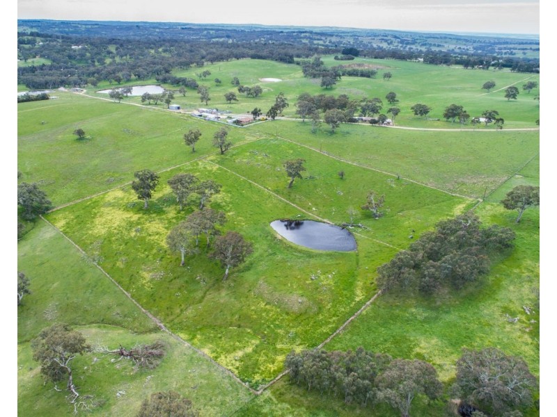 147A & 147 Sheoak Hill Road, Mount Torrens SA 5244