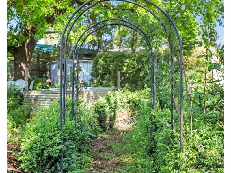 31 Newman Road, Charleston SA 5244