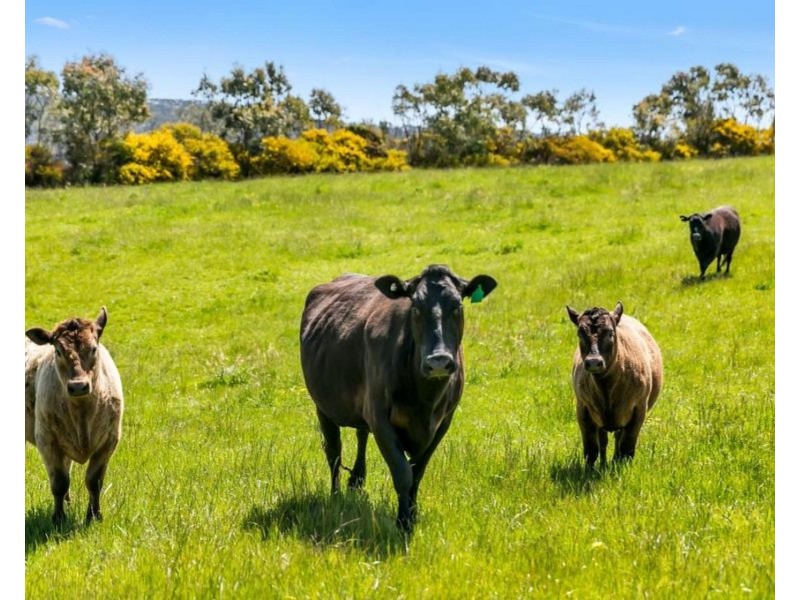 147A-147B Sheoak Hill Road, Mount Torrens SA 5244