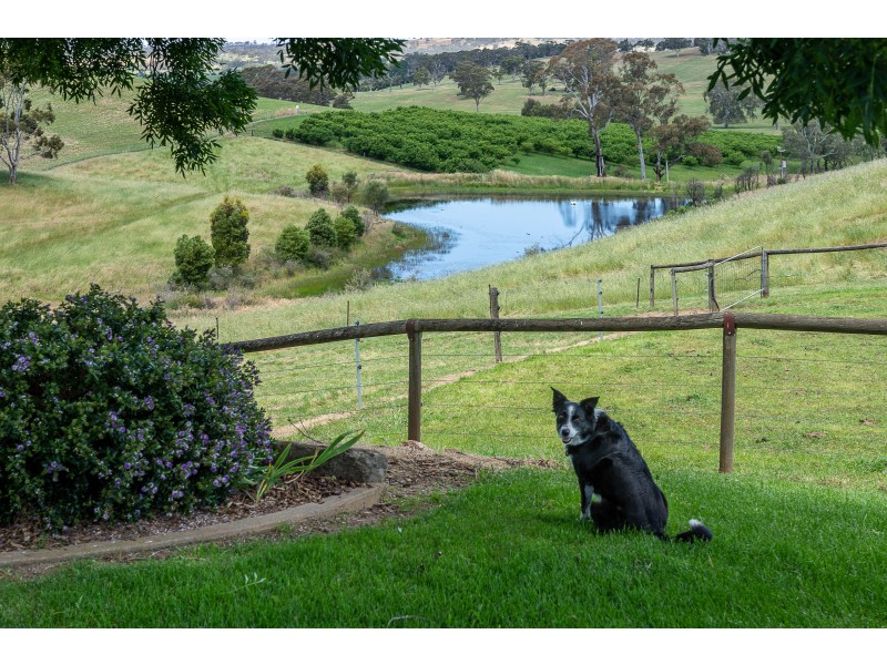 217 Maidment Road, Lobethal SA 5241