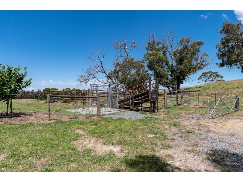 217 Maidment Road, Lobethal SA 5241