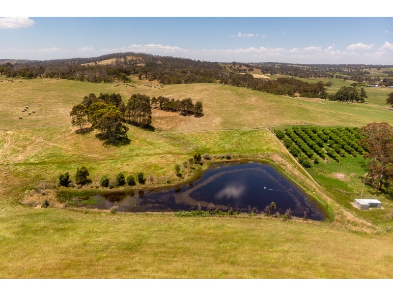 217 Maidment Road, Lobethal SA 5241