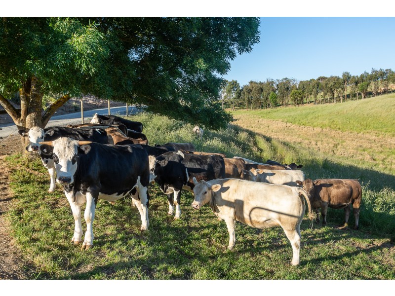 217 Maidment Road, Lobethal SA 5241