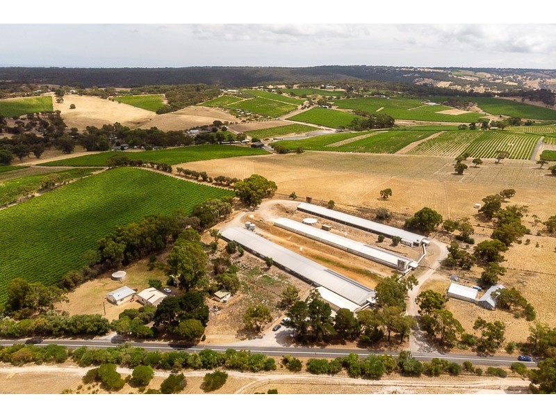 67 Brookmans Road, Blewitt Springs SA 5171