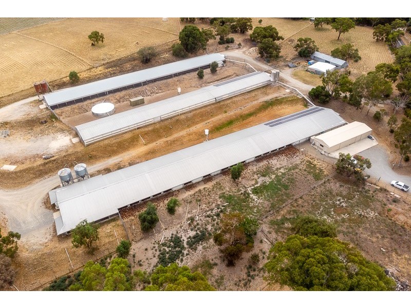 67 Brookmans Road, Blewitt Springs SA 5171