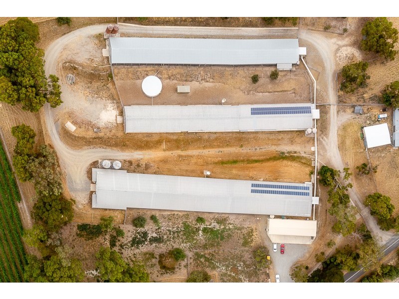 67 Brookmans Road, Blewitt Springs SA 5171