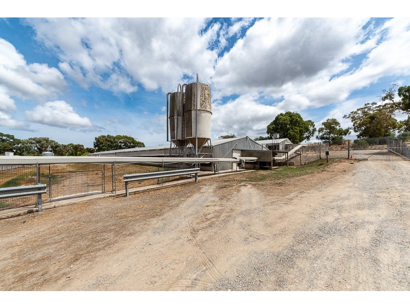 67 Brookmans Road, Blewitt Springs SA 5171