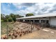 67 Brookmans Road, Blewitt Springs SA 5171