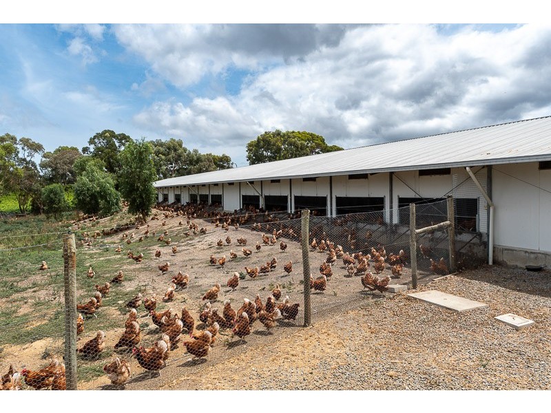 67 Brookmans Road, Blewitt Springs SA 5171