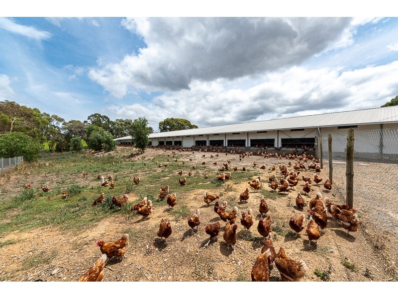 67 Brookmans Road, Blewitt Springs SA 5171