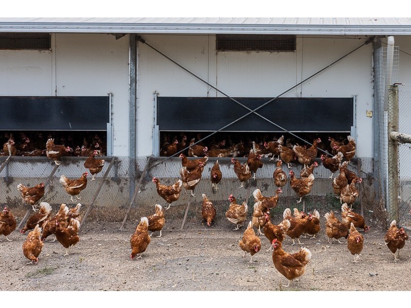 67 Brookmans Road, Blewitt Springs SA 5171