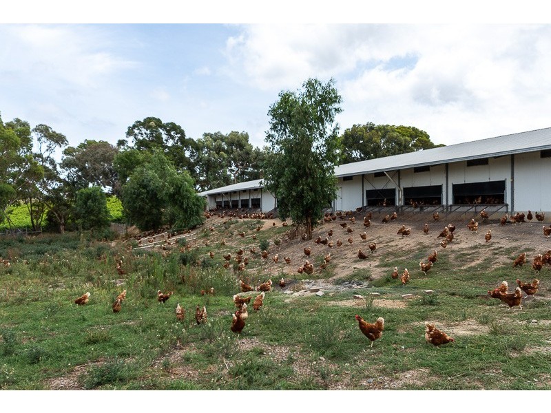 67 Brookmans Road, Blewitt Springs SA 5171