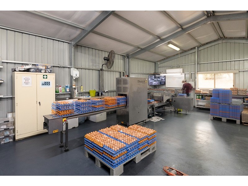 67 Brookmans Road, Blewitt Springs SA 5171