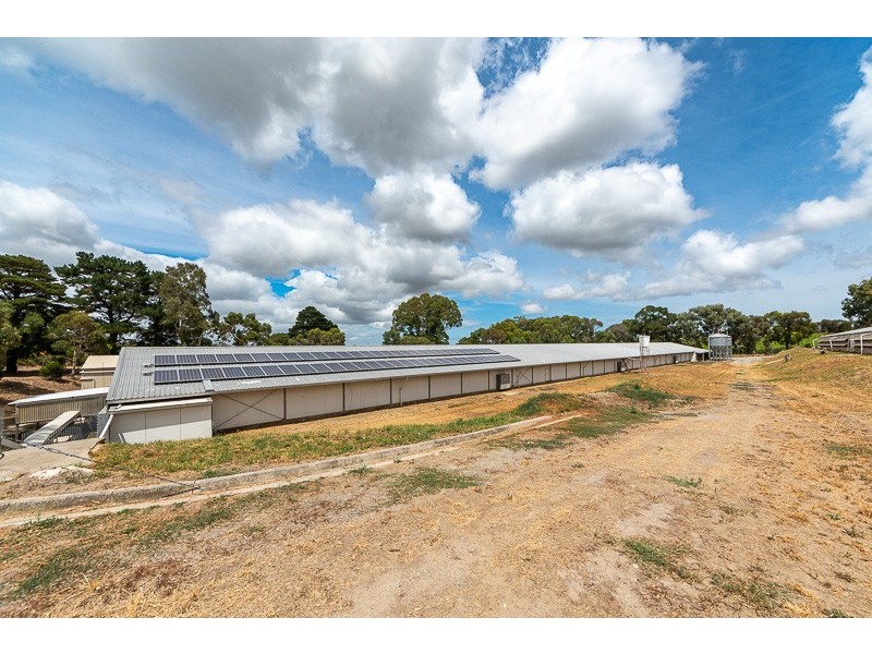 67 Brookmans Road, Blewitt Springs SA 5171
