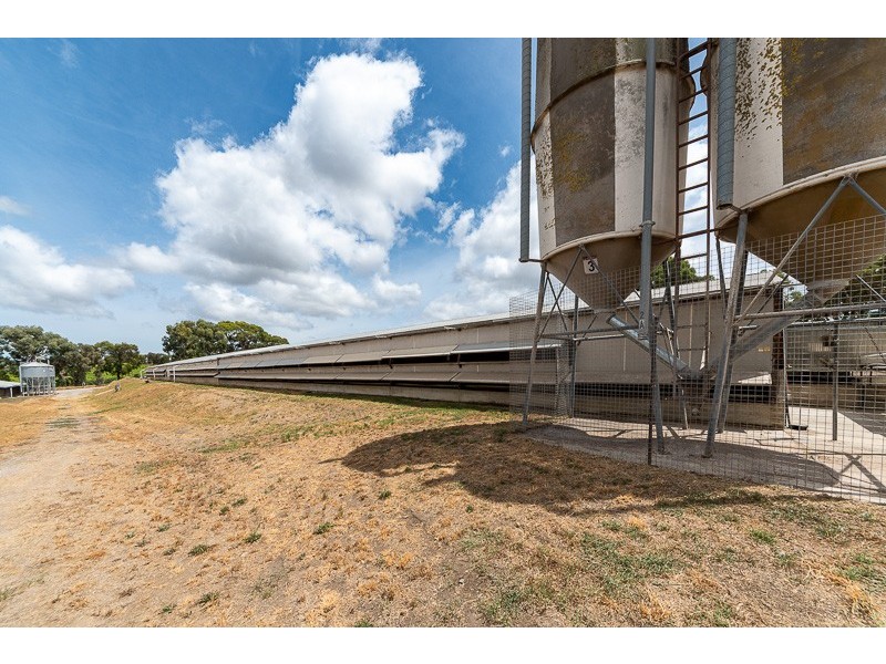 67 Brookmans Road, Blewitt Springs SA 5171