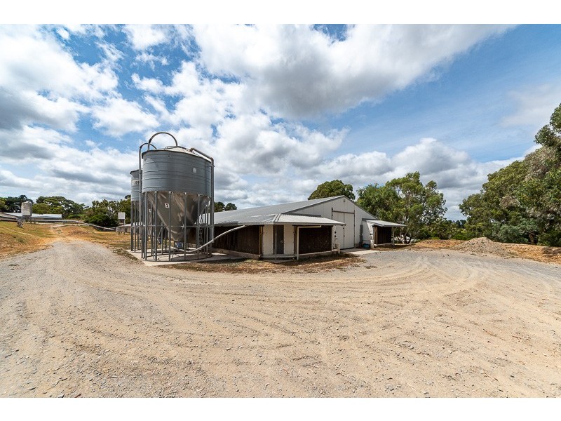 67 Brookmans Road, Blewitt Springs SA 5171