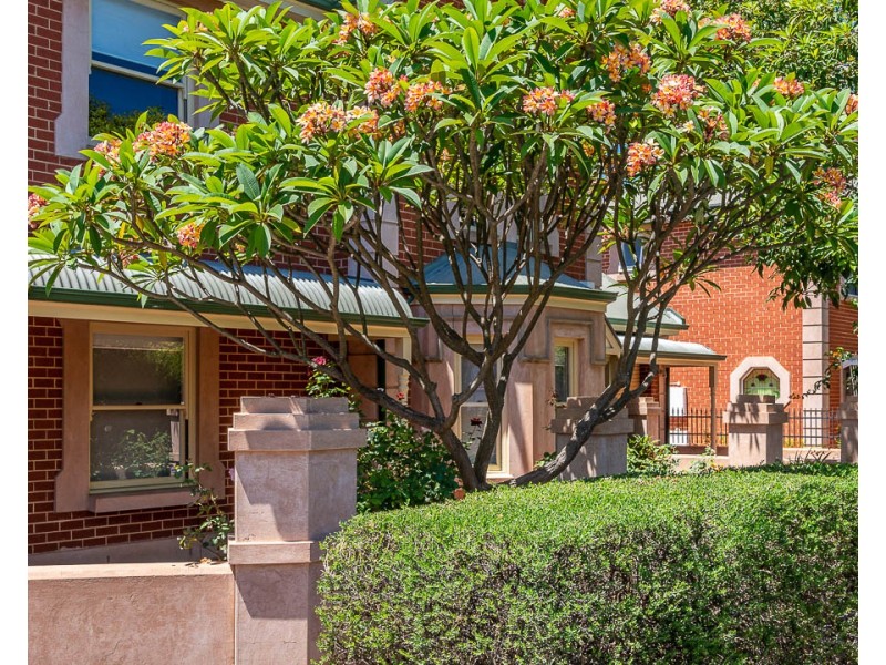 1 Hardy Street, Goodwood SA 5034