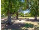 1 Hardy Street, Goodwood SA 5034