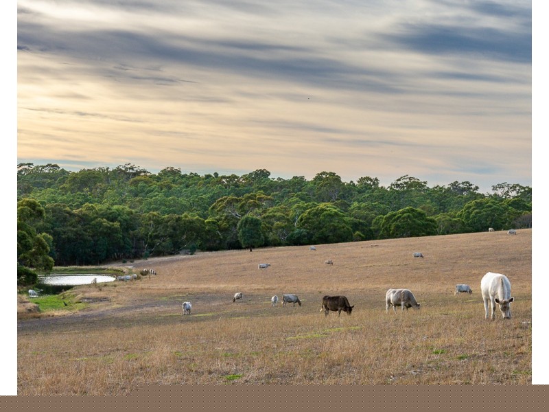 Lot 51 Pursell Road, Bugle Ranges SA 5251