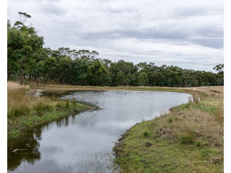 Lot 51 Pursell Road, Bugle Ranges SA 5251