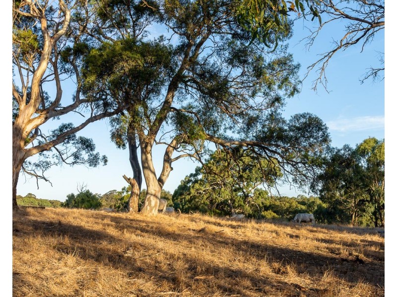 Lot 51 Pursell Road, Bugle Ranges SA 5251