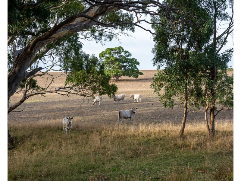 Lot 51 Pursell Road, Bugle Ranges SA 5251