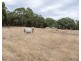Lot 51 Pursell Road, Bugle Ranges SA 5251