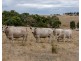 Lot 51 Pursell Road, Bugle Ranges SA 5251