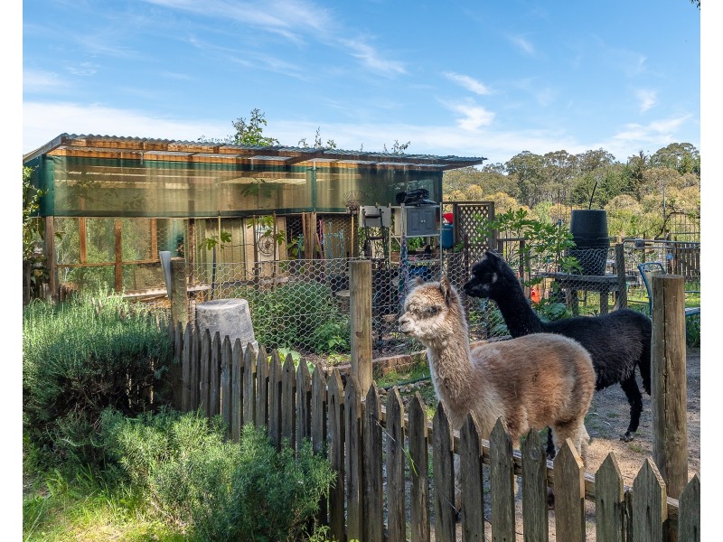 407B Lobethal Road, Ashton SA 5137